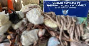 San Miguel: Secuestran más de 100 kilos de carne en mal estado